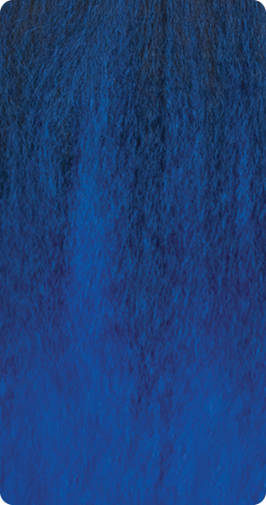 BT1B/Blue
