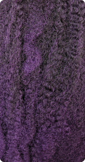T1B/Purple