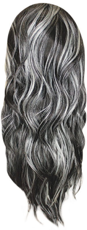 HL1B/Gray