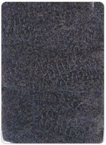 1B