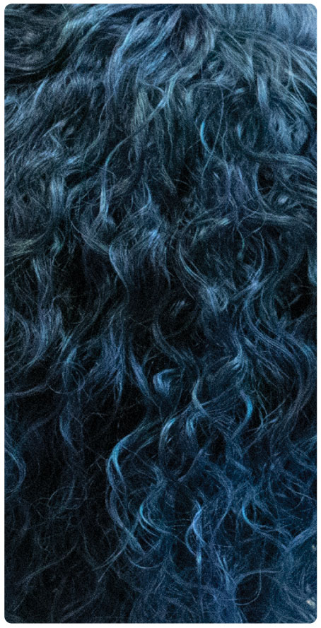 T1B/F.Blue