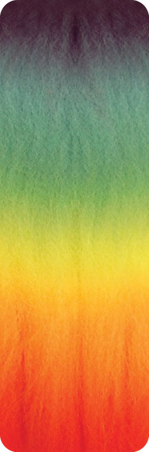 PP.RAINBOW