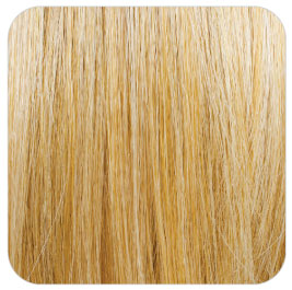GTOM/Blonde