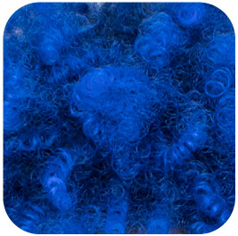 T1B/Blue